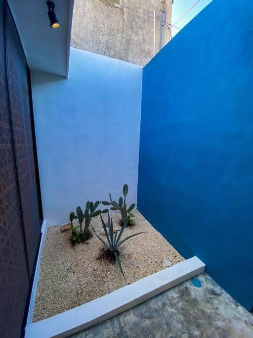Modern Casa With Pool 7 Mins From Centro 5Min La Plancha Park Villa Mérida Exterior foto